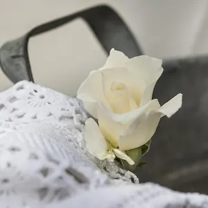 Il Giardino Di Ortensia Bed & Breakfast