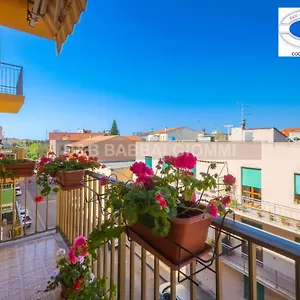 https://babbai-giommi.in-sardinia.net